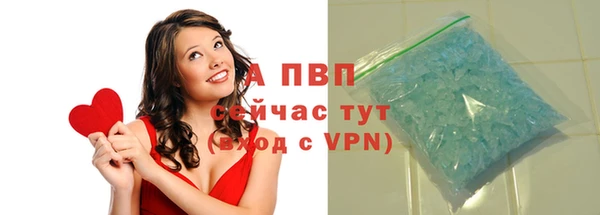 шишки Гусиноозёрск