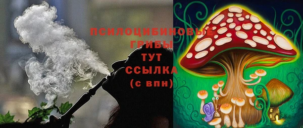 синтетический гашиш Богданович