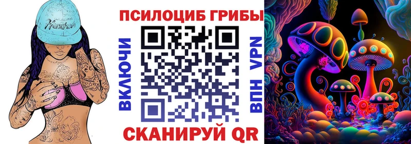 Купить закладки  Губаха  Псилоцибиновые грибы прущие грибы 